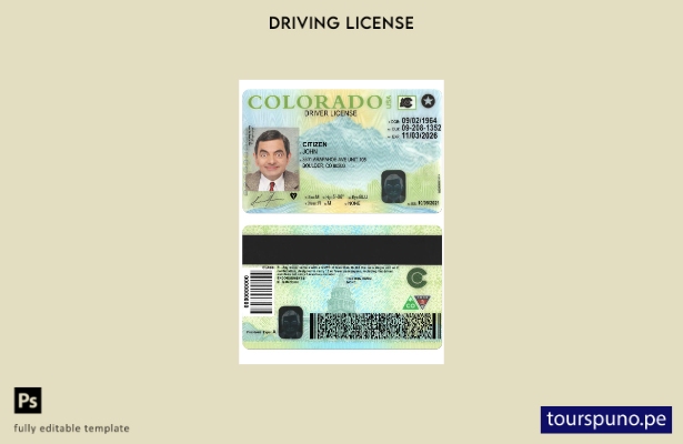 lista para imprimir la plantilla de versión de licencia de conducir de EE. UU. C